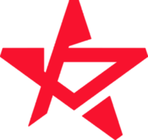 PARTIZAN 로고